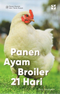Image of Panen Ayam Broiler 21 Hari